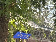 -张掖大佛寺景区