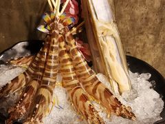 -鲜入围煮花胶鸡海鲜火锅