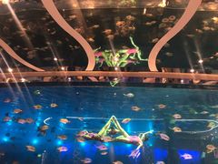 -瑞德姆美人鱼海底演艺主题餐厅(亚龙湾店)