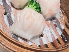 -新雅粤菜馆(南京东路店)