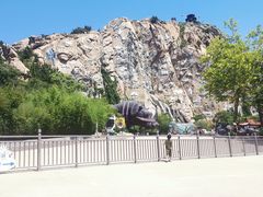 -西霞口神雕山野生动物世界