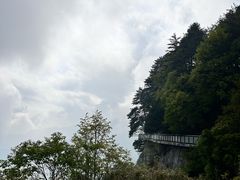 -汉中天台国家森林公园