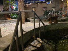 -泉城欧乐堡戏水湾艺术养生温泉