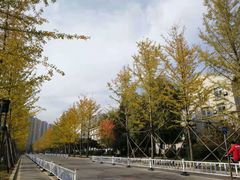 -东北大学(南湖校区)