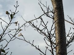 -狼山风景名胜区