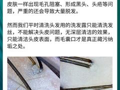 -中国农业大学(西校区)