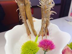 -苏大嘴蒸汽海鲜·海胆蒸饺(中山广场店)