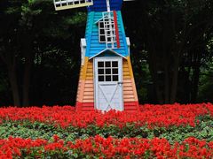 -上海共青森林公园