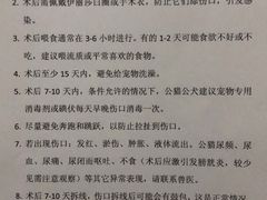 -灵美宠物诊所