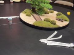 -阿露佳·舌尖上的安吉菜