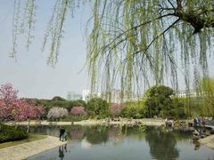 -昆山城市公园