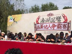 -溱湖国家湿地公园