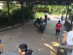 -圣淘沙天际线斜坡滑车