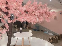 -浣熊柯尔鸭土拨鼠·电玩咖