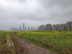 -洋湖国家湿地公园