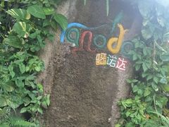 -呀诺达热带雨林