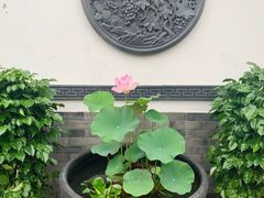 -前门张记涮肉(前门店)