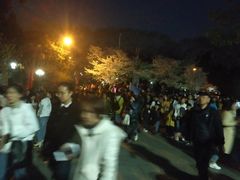 -武汉大学-樱园