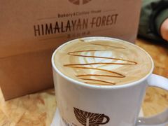-喜马拉雅森HIMALAYAN FOREST