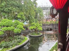 -河内西湖莲花自助餐厅