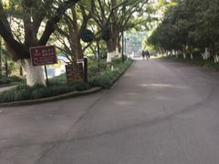 -杭州香格里拉饭店