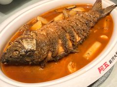 -阿五黄河大鲤鱼(英协路店)