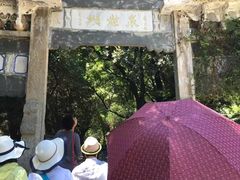 -蝴蝶泉公园