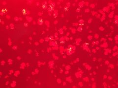 -福州罗源湾海洋世界旅游区