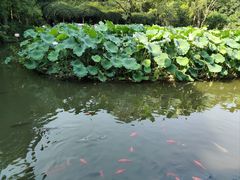 -成都杜甫草堂博物馆