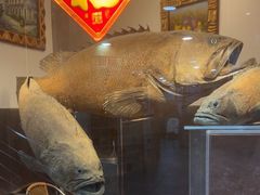 -齐海鱼圣深海石斑鱼火锅店(极地海洋世界店)