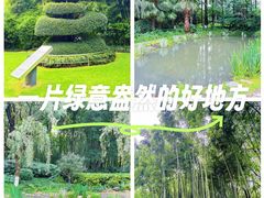 -苏州河梦清园环保主题公园