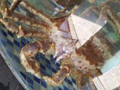 -顺德了能馆(虎门店)