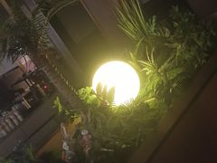 -宏宴·新京菜(望京店)