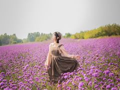 -北京东方普罗旺斯薰衣草庄园