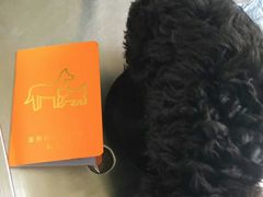 -菲丽丝宠物医院·24小时·猫科中心·免疫点(淮海分院)