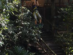 -海南槟榔谷黎苗文化旅游区