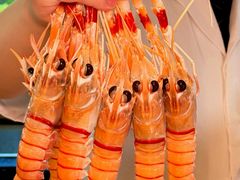 -鮨冠OMAKASE食べ放题(北京首店)