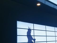 -牛武士寿喜烧·和牛火锅自助(全球首店)