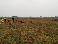 -解家河南菜(商鼎路店)