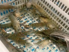 -一方渔歌蒸汽海鲜自助(文化路万达广场店)