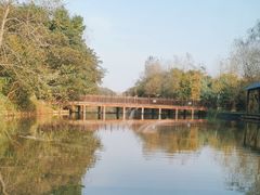 -溱湖国家湿地公园