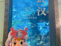 -海合安武汉极地海洋公园