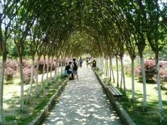 -武汉紫薇都市田园