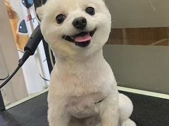 -宠小格时尚宠物生活馆(唐镇店)