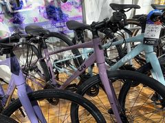 -GIANT捷安特(阜成门店)