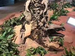 -自贡恐龙博物馆