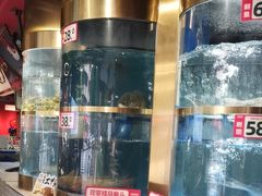 -蜀滋香鲜鱼美蛙火锅(339店)