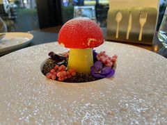 -Terra Rossa(陆家嘴中心店)