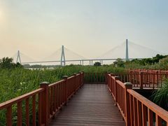 -芒洲湿地公园