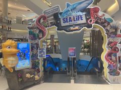 -暹罗海洋世界
